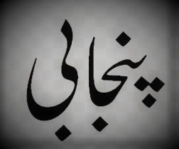  ماں بولی دیہاڑ نوں  پنجاب اسمبلی دے ساہمنے  احتجاجی مظاہرا تے پنجابی زبان، ذریعا تعلیم بناون دی  منگ حکومت دے ساہمنے رکھاں گے: پنجابی تنظیماں دے نمایندیاں دا اُچیچا اجلاس۔۔۔۔٭رویل خبر٭